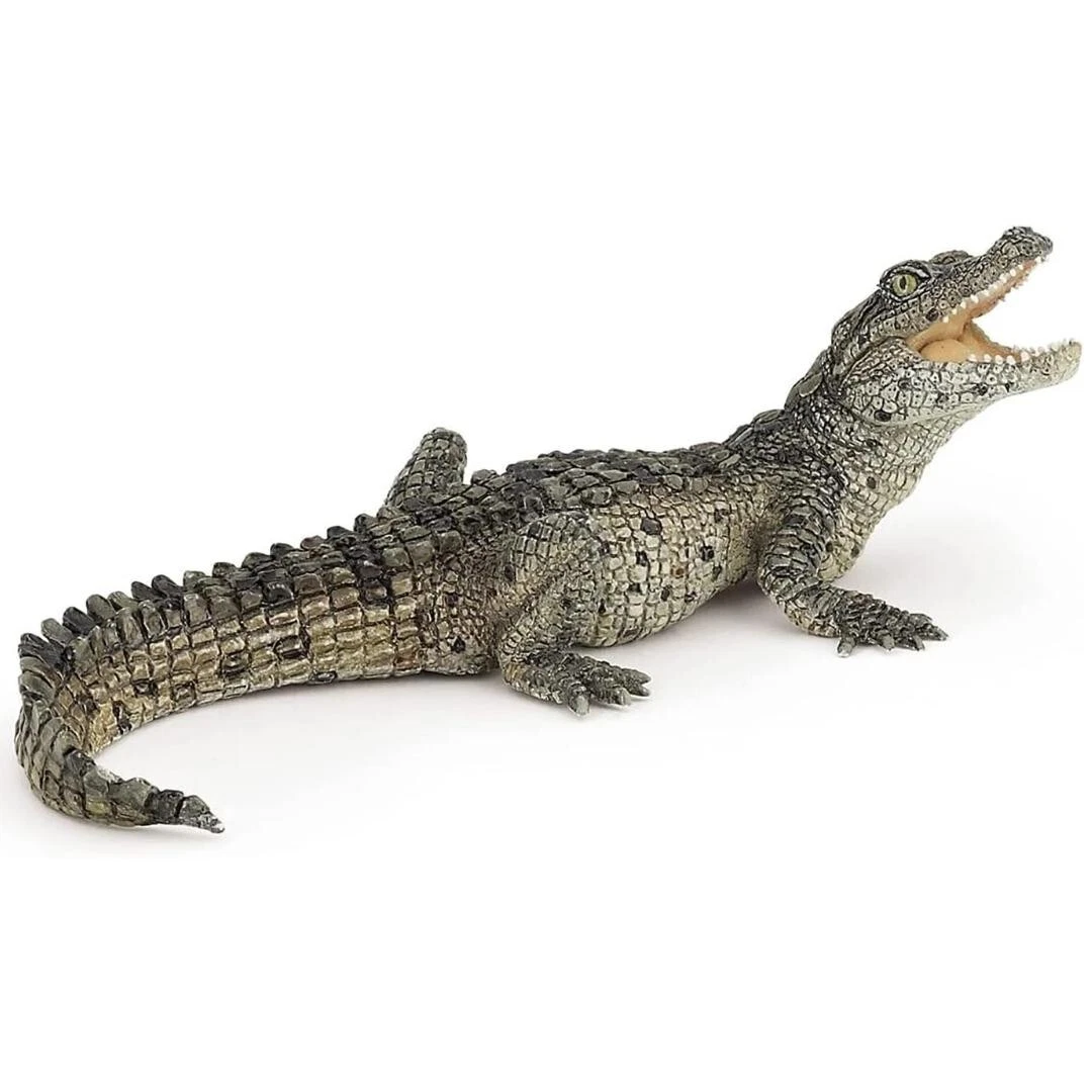 Alligator & Crocodile Collectibles for sale | eBay