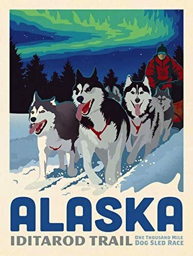3x4 inch IDITAROD Trail Alaska Poster Art Bumper Sticker rv Dog k9 Race ak np - Picture 1 of 1