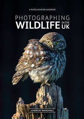 Photographing Wildlife in the UK: Where and How to Take Great Wildlife...