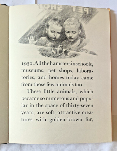 Golden Hamsters By Herbert S. Zim Hardcover Rare - Picture 6 of 13