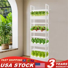 Hydroponic Site Grow Kit Hydroponics System 4-layer 56 Plant Sites with LED New