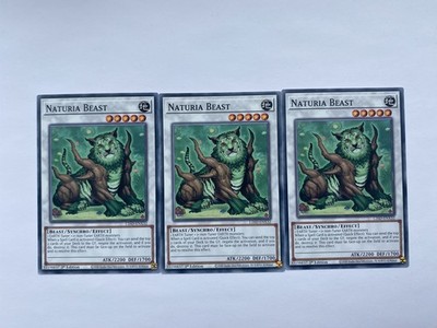 3x Naturia Beast Common L26D-ENX32 NM Legendary Modern Decks 2026 Playset