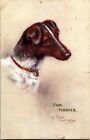 Tucks 8837 Sketches of Doggies Fox Terrier by Maud West Watson Vtg Postcard J65