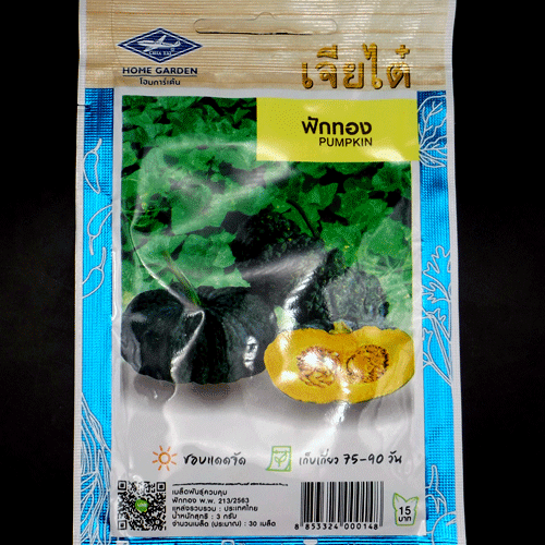 PUMPKIN 30 seed ***ฟักทอง*** - Picture 1 of 10