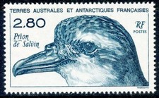 TIMBRE T.A.A.F. TERRES AUSTRALES NEUF  N° 189 ** FAUNE ANTARTIQUE TETE DE PRION