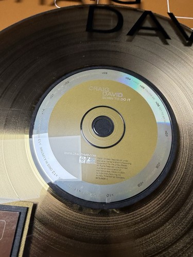 Premio Vendita Certificato Craig David Gold RIAA RARO "Born To Do It" - Foto 8 di 24