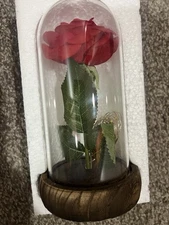 Gift for women  Rose Enchanted Rose Red Silk Rose in Glass Dome with LED Lights 