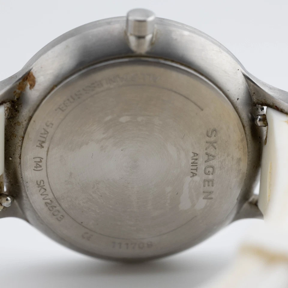 Reloj analógico de cuarzo para mujer SKAGEN Anita SKW2603 todo acero inoxidable batería nueva Foto 3 de 4