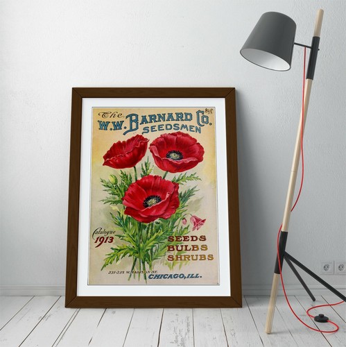 VINTAGE RETRO POPPY FLOWER POSTER -FRAMED WALL ART PICTURE PRINT - Picture 5 of 10