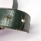 Bild 7 von 11