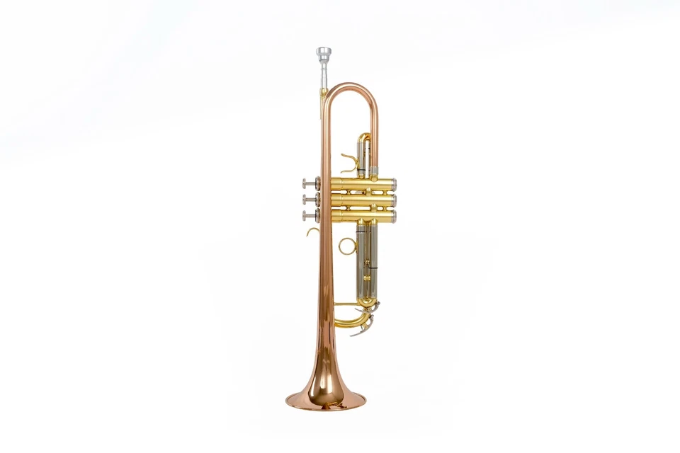 Wisemann DTR-400 玫瑰黄铜材料小号,Bb,带 ABS 保护壳和吹口。 — 第 3/4 张图片