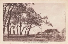 CARTE POSTALE FRANCE 87776