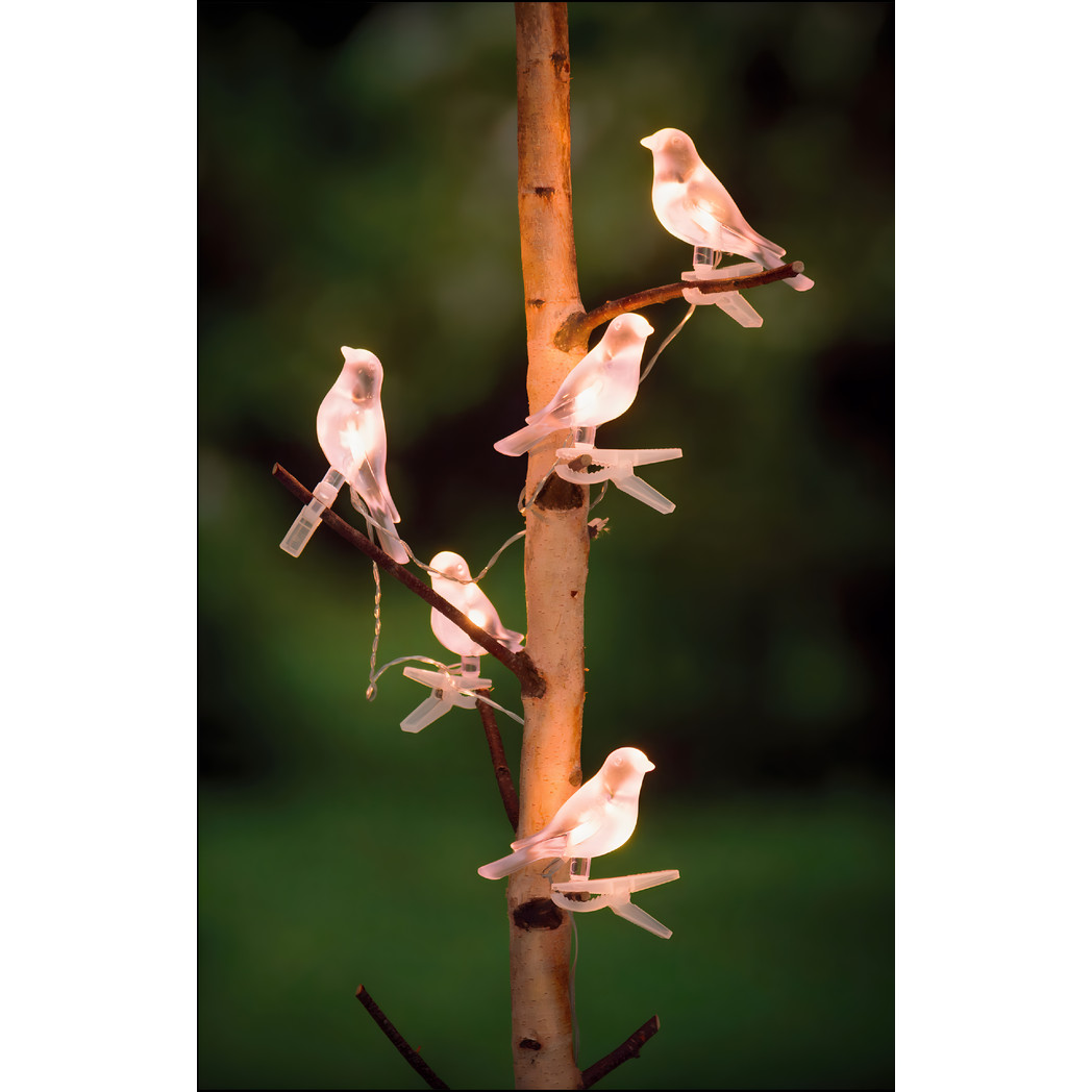 Solar Clip On Bird Garden Lights Set of 5 Outdoor LED Decorative Lights