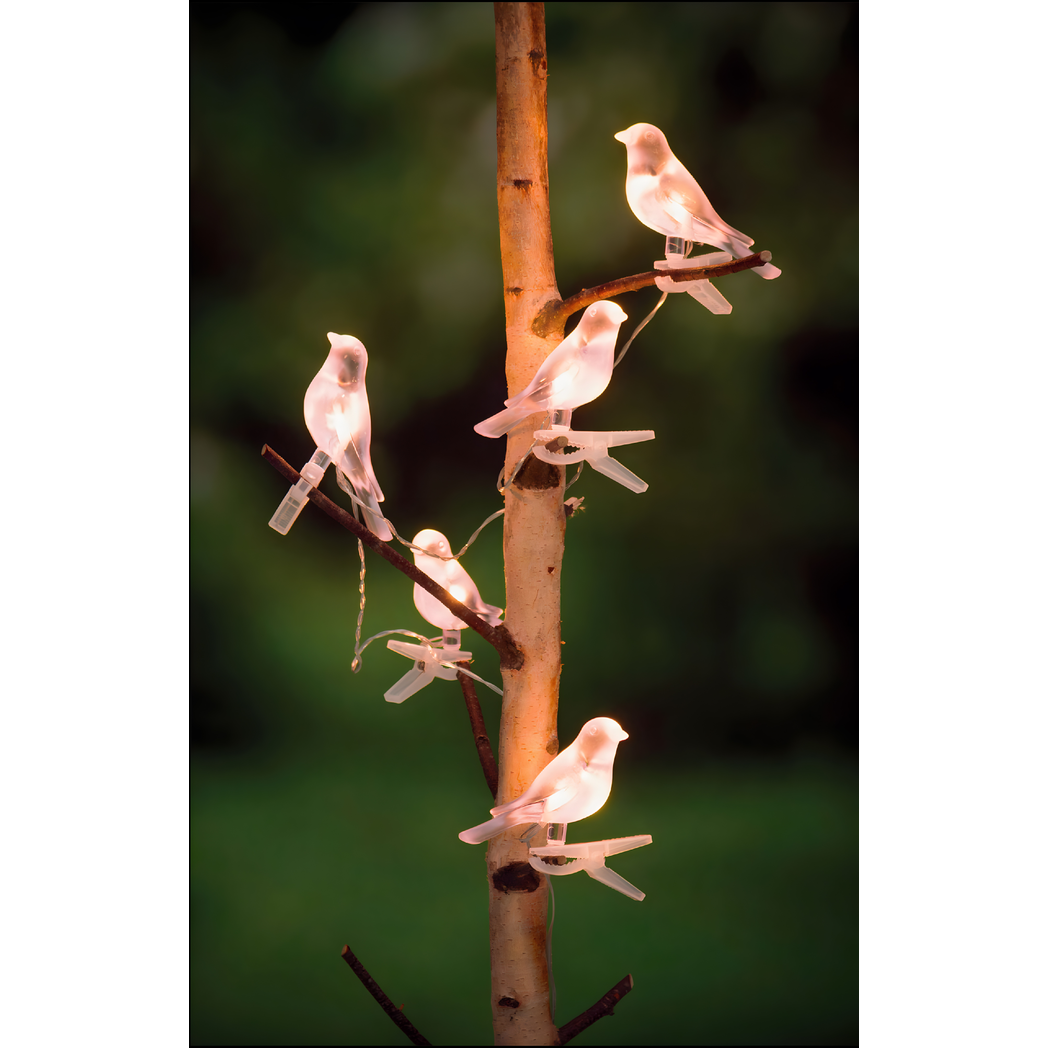 Solar Clip On Bird Garden Lights Set of 5 Outdoor LED Decorative Lights