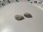 Dug Civil War era "chewed"  bullets