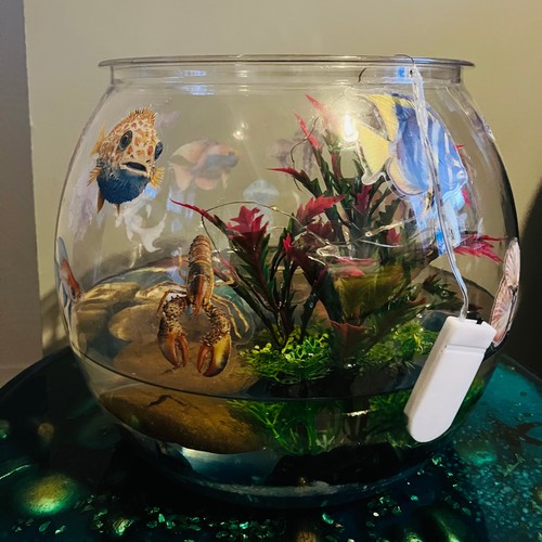 Handmade Large Resin Fishbowl with fish marine life inserts and LED lights - Picture 8 of 8