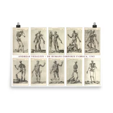 Andreas Vesalius, Vintage Anatomy Images, Macabre, Occult, Medical Huge Poster
