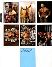 RANDY ORTON   CUSTOM  NOVELTY  TRADING CARD 6 CARDS  SET