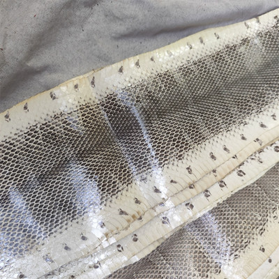 Real Leather Snake Skin Leather Hide Whole Pelts DIY Tanned Multicolor Material
