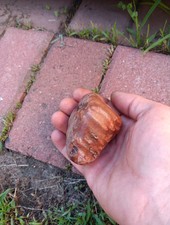9.10oz Lake Superior Agate, Whole Nodule Tube...