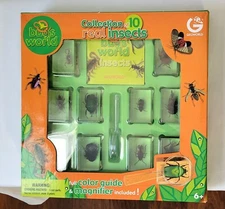 Constructive Playthings Geoworld Bugs- World Collection of 10 Real Insects NEW
