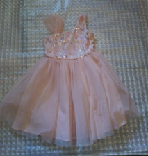 Cat  Jack Pink Girls XS 4/5 Party Dress Very Fancy Tool Over Liner 100 Polye