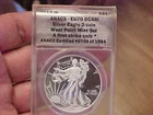 2013-W American Silver Eagle Proof — photo from another recent sale