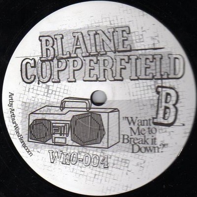 Blaine Copperfield - Gonna Party / Want Me To Break It Down? (12'', Vinyl) House