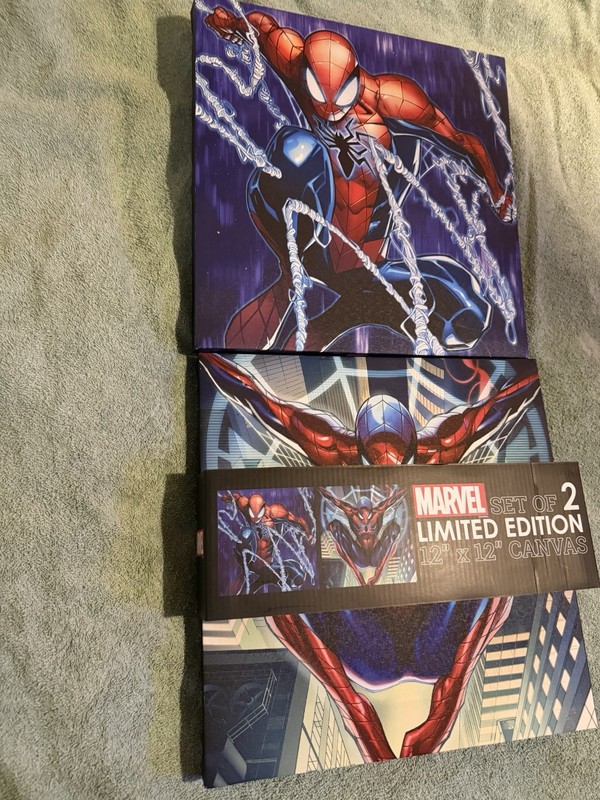 Marvel Spider-Man Limited Edition Set of 2 12x12 Canvas Wall Art   NEW