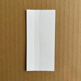 DAYTONA USA 2001 Dreamcast