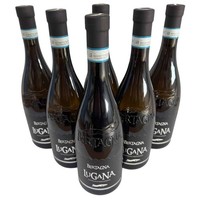 Cantina Bertagna, Lugana DOC 2024, 6 × 0,75 L, WeißWein Aus Italien (Lombardei)