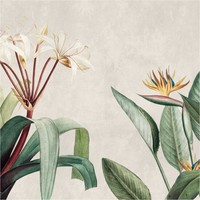 Fototapete Pflanzen Vliestapete Floral Creme Grau Betonwand Wohnzimmer