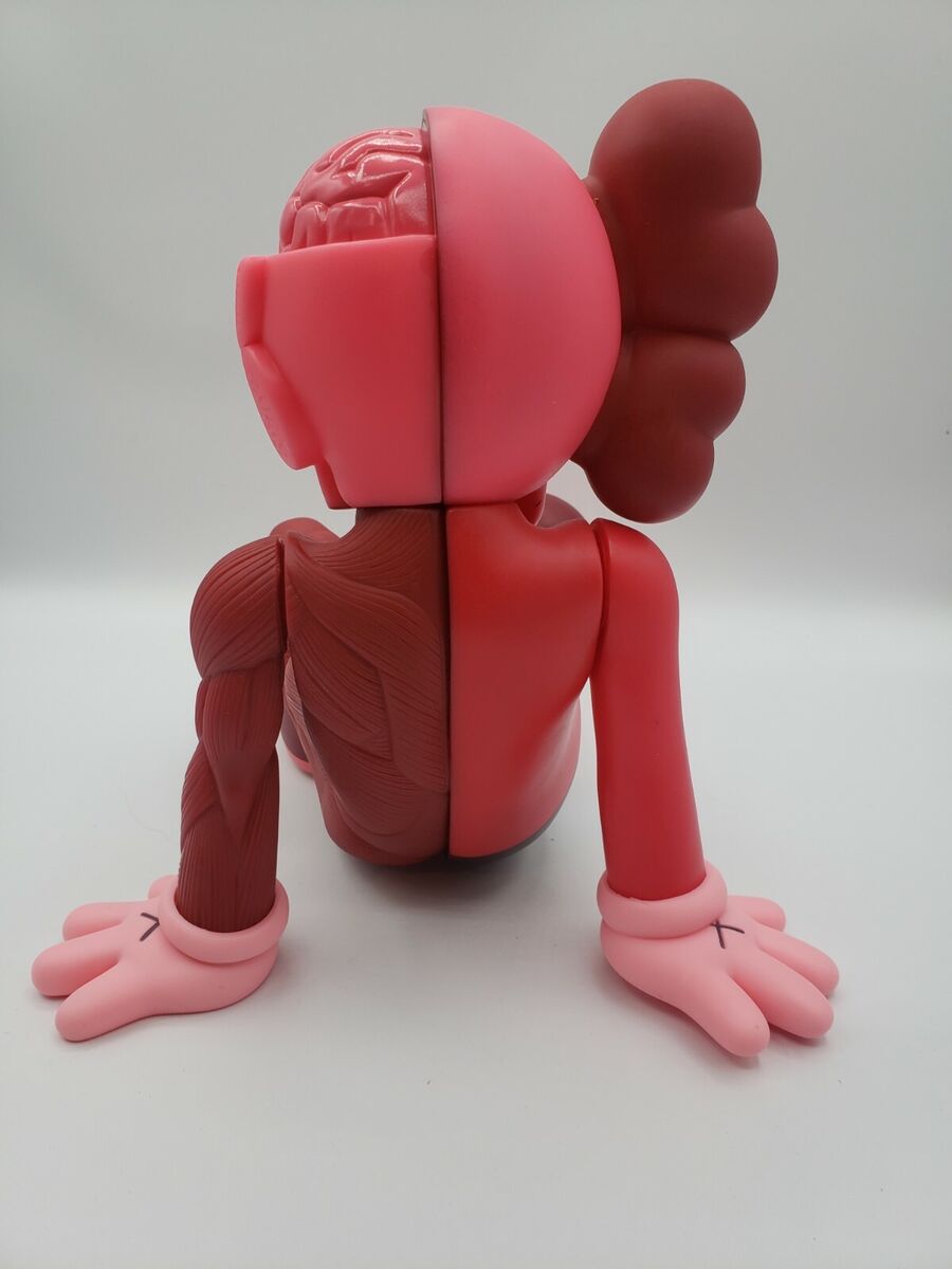 Kaws Resting Place Originalfake Dissected Companion Medicom Kaws Resting Place Originalfake Dissected Companion Medicom