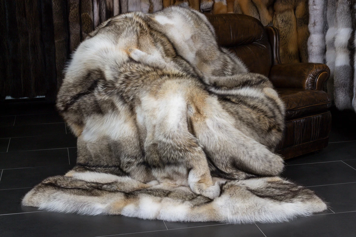 Coyote pelt blanket new arrivals