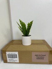 Mini Decorative Plants Pack of 4