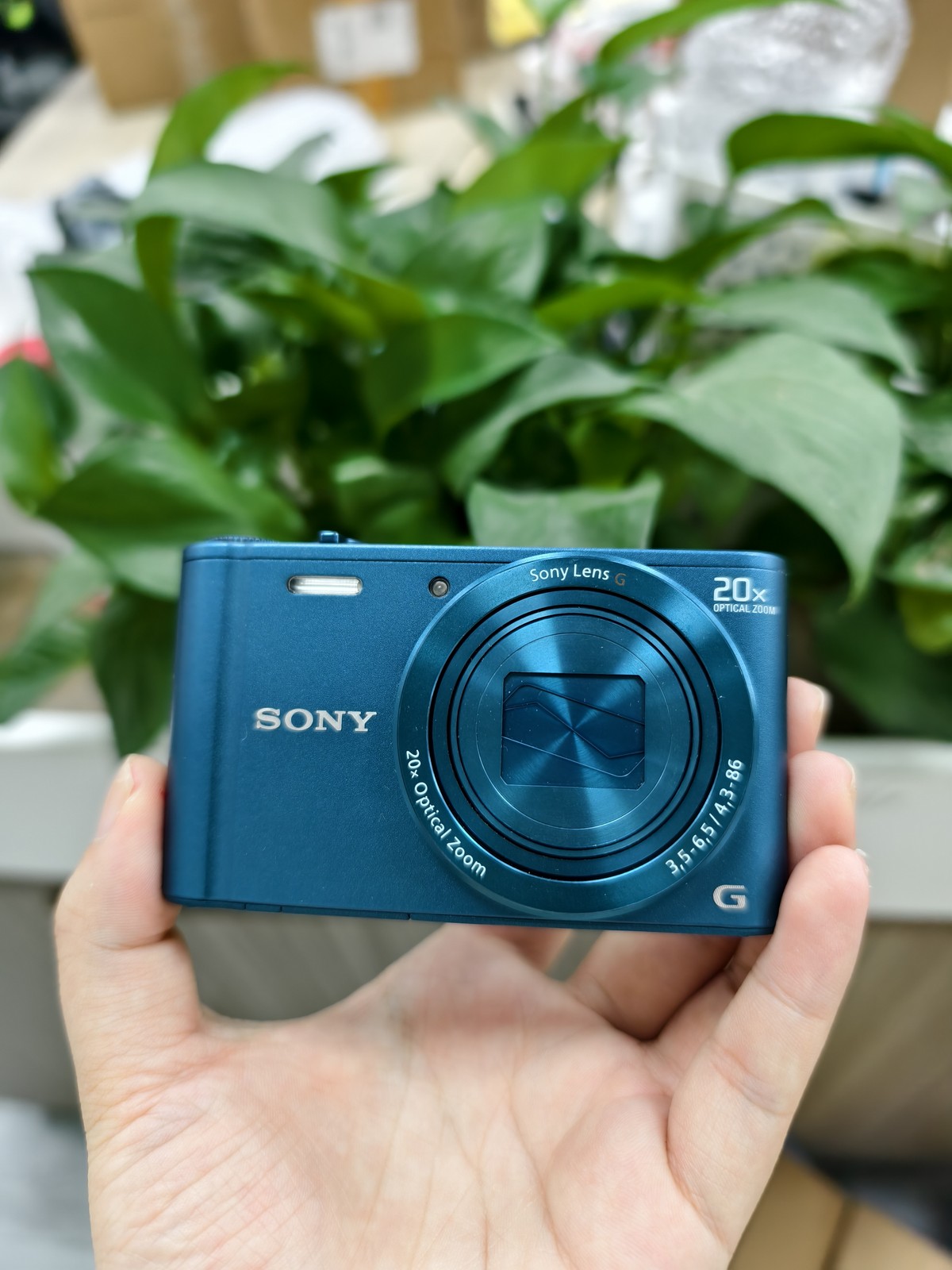 SONY Cyber-shot DSC-WX300 English 20x Zoom Compact Digital