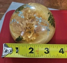 Vintage Preserved Lucite Floral Paperweight
