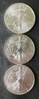 2014, 2017, and 2019 $1 American Silver Eagle Dollars