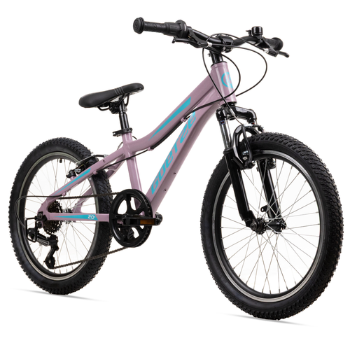 Goetze Define Mini 20 Zoll MTB Fahrrad, 6-Gang Shimano, V-Brakes, ab 8 Jahren - Bild 100 von 121