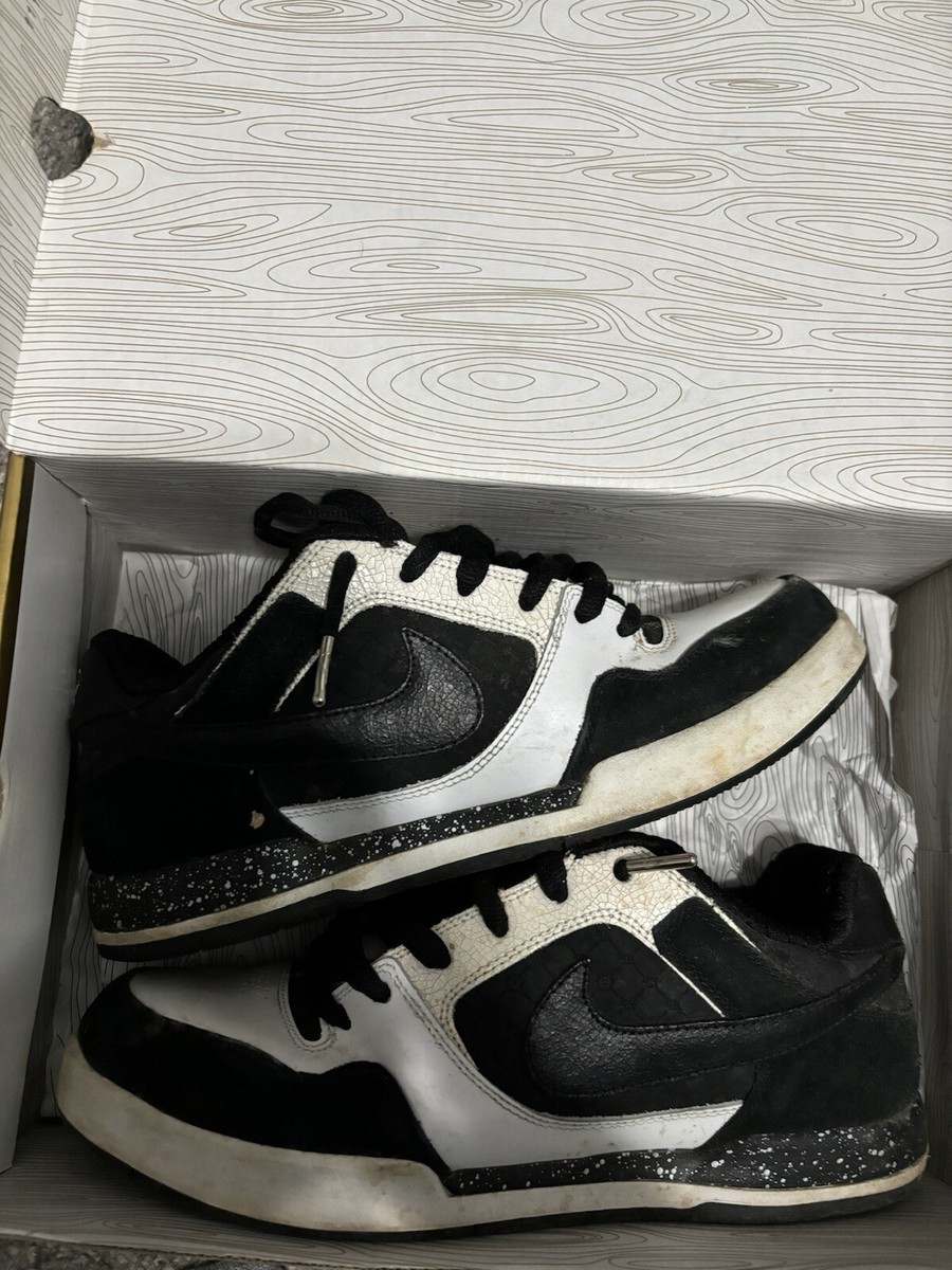 paul rodriguez 2 zoom air