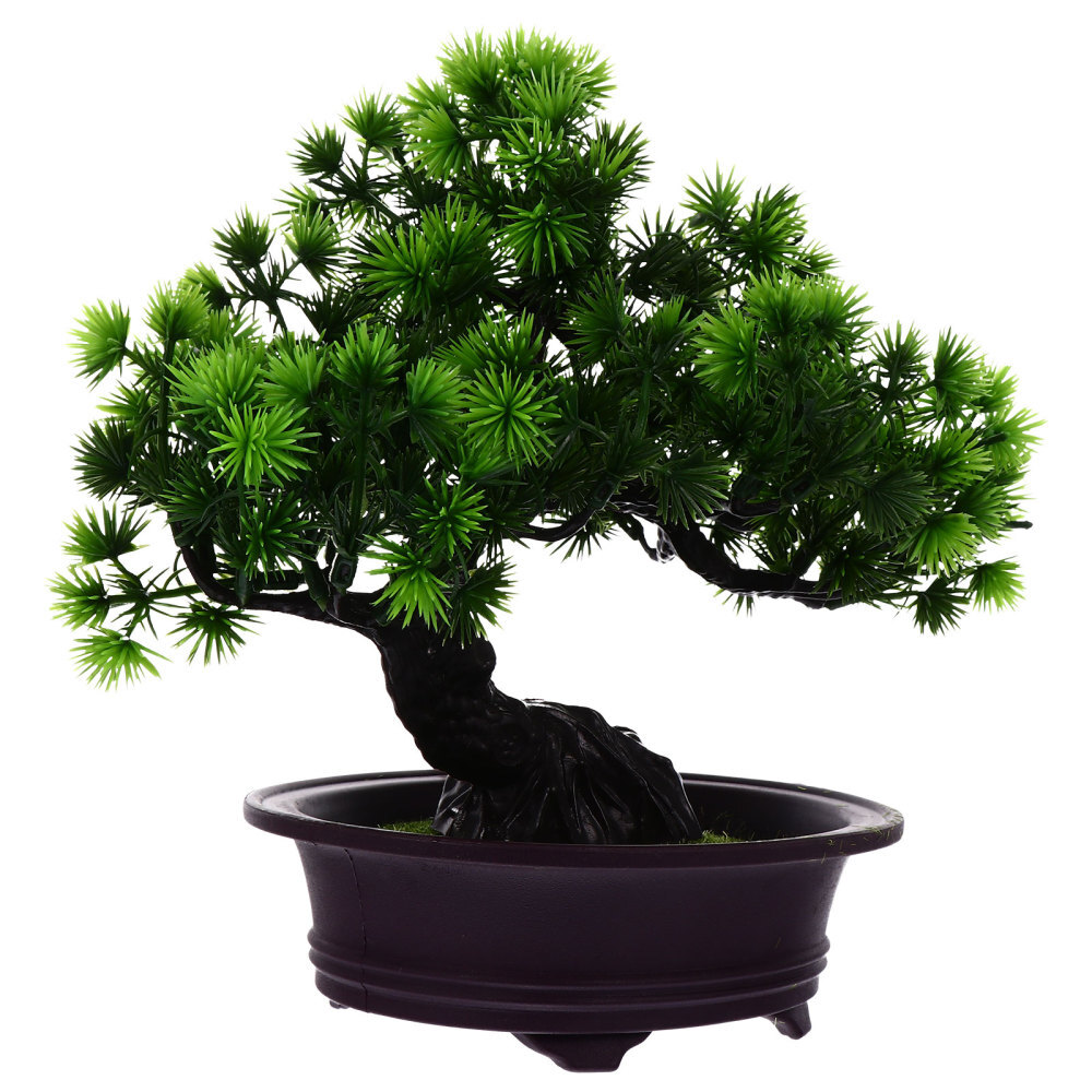 Pine Ornaments Plastic Office Large Plant Pots Indoor eBay