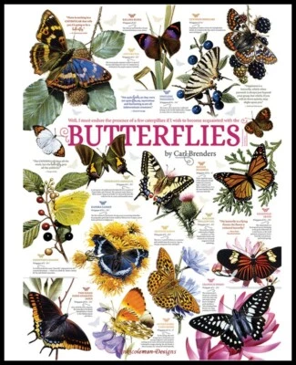 ANKICOLEMAN DESIGNS Butterfly Collection - DIY Chart Counted Cross Stitch Patterns Needlework DMC