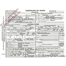 Al Capone Death Certificate Gangster Mob Mafia Art Print Poster HP4142