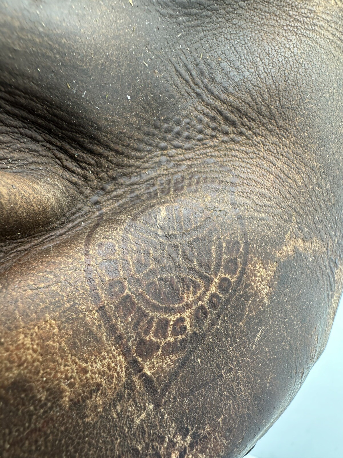 Picture 4 of 4