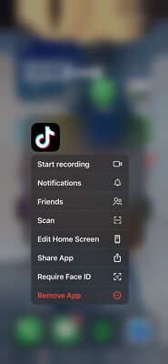 iphone 15 plus with TikTok 