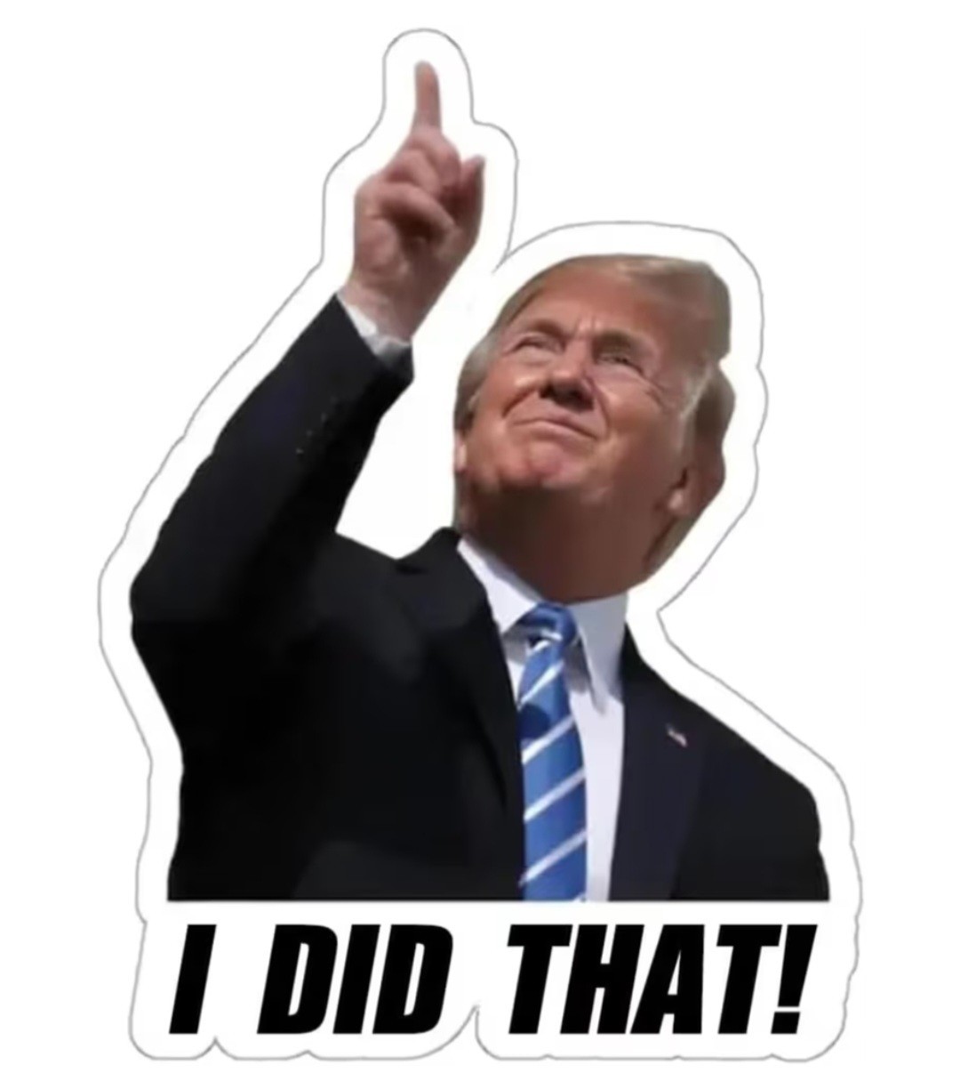 Trump I Did That Stickers 100pcs Waterproof Vinyl Decal