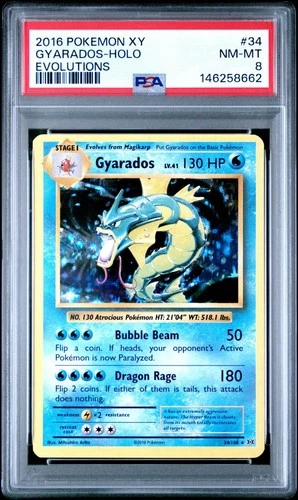 PSA 8 Pokemon Gyarados 34/108 XY Evolutions Holo Rare 34/108