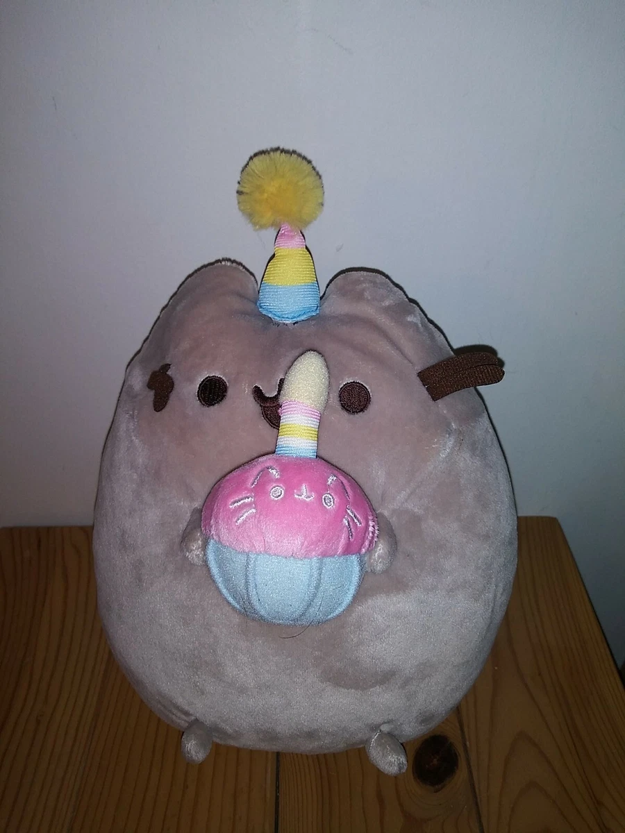 Pusheen 2024 birthday cupcake