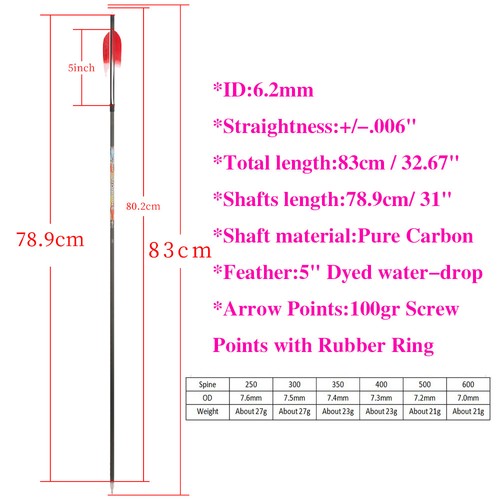 SP250-600 31" Archery Pure Carbon Arrows 5" Natural Feather Recurve Compound Bow - Picture 2 of 15