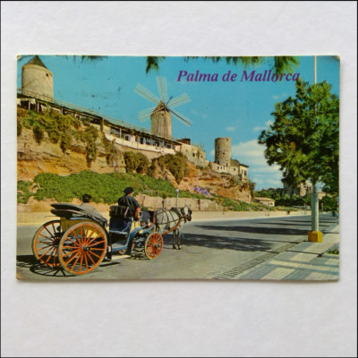 Palma de Mallorca Maritime Walk Molinos del Jonquet 1981 Postcard (P360)